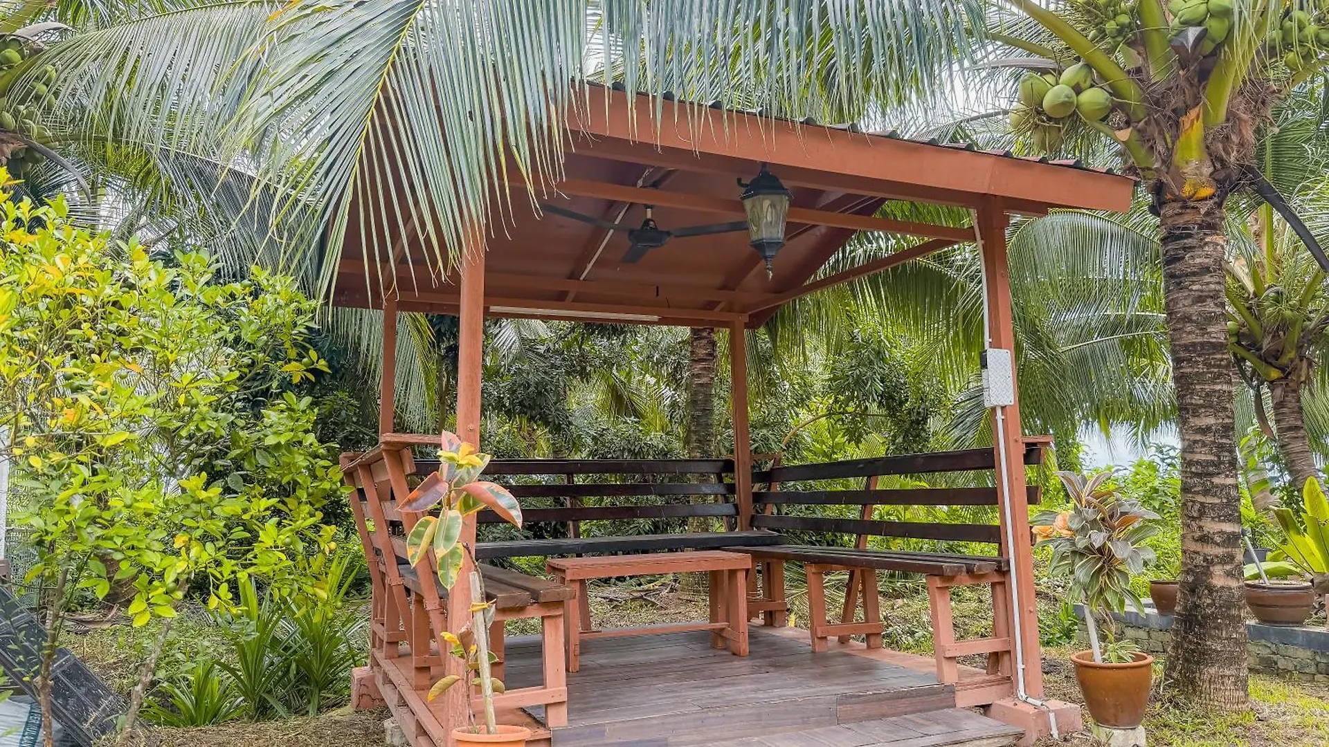 Kampung Nature Stilt House With Paddy Field View باليك بولاو