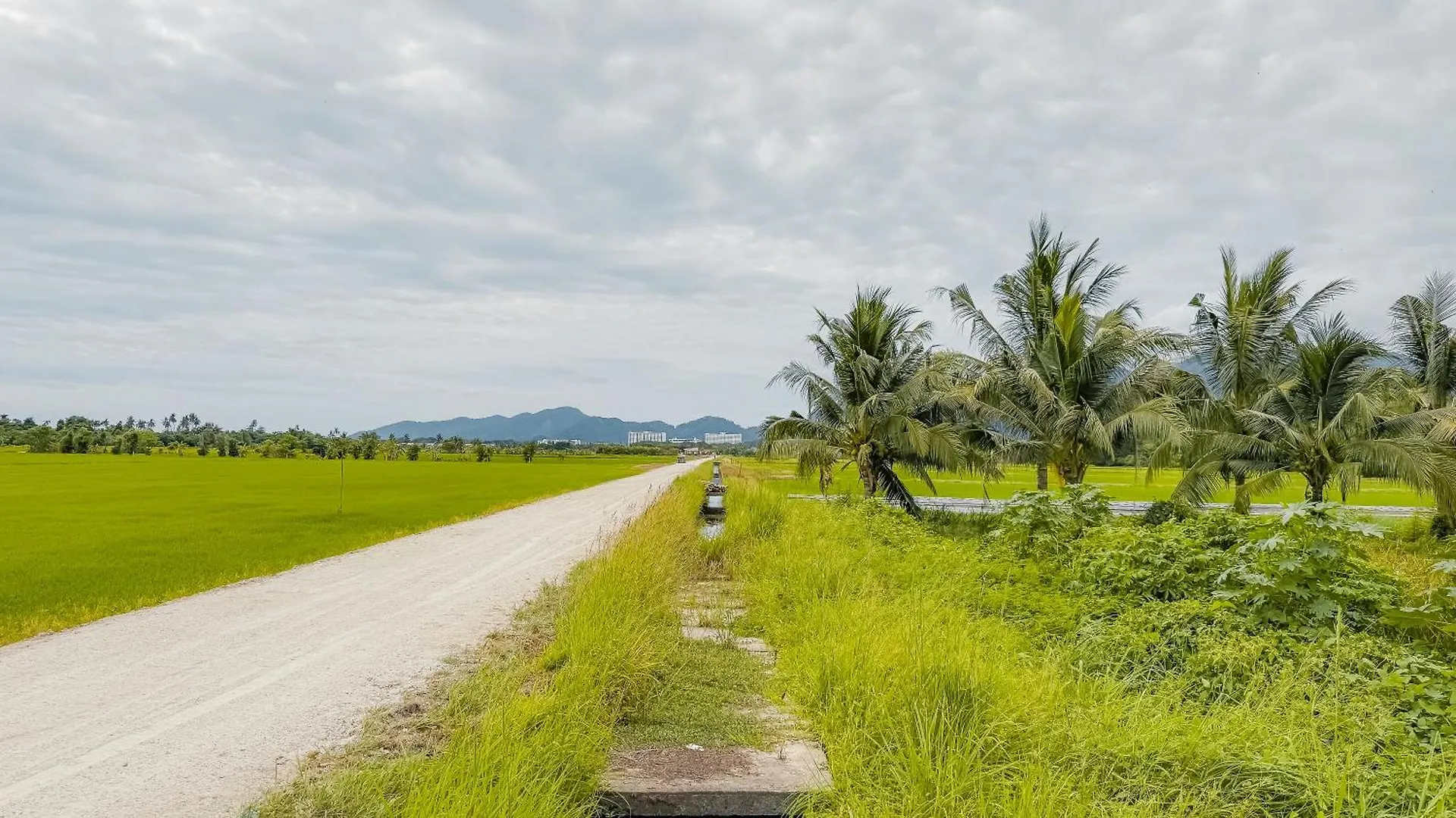Kampung Nature Stilt House With Paddy Field View باليك بولاو 0*,  ماليزيا