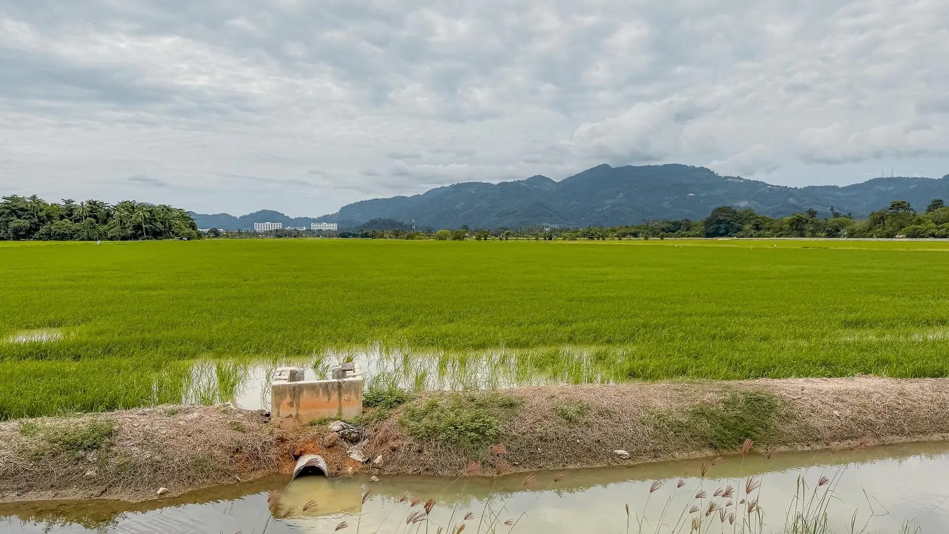 Kampung Nature Stilt House With Paddy Field View Balik Pulau Prázdninový dům